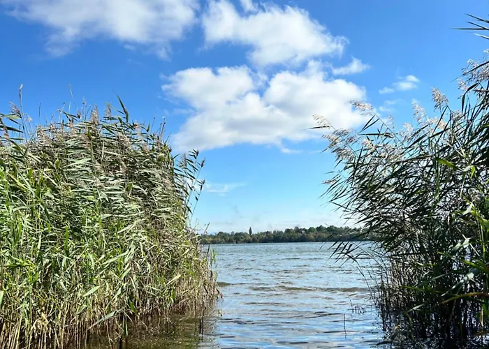 Holiday home Naturidyll In Seenaehe - Habichtnest *